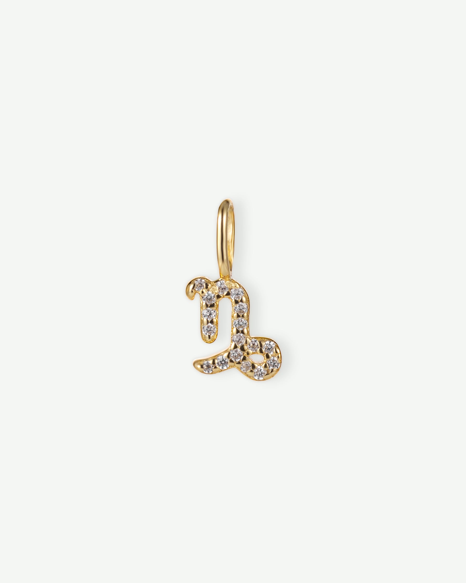 Capricorn Zodiac Charm