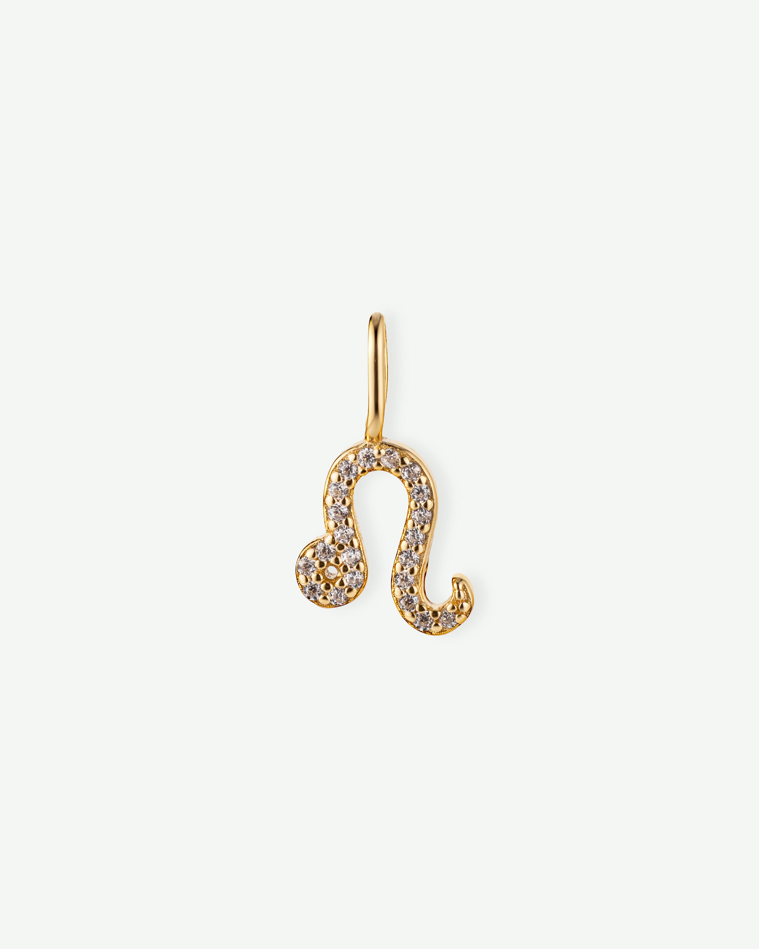 Leo Zodiac Charm