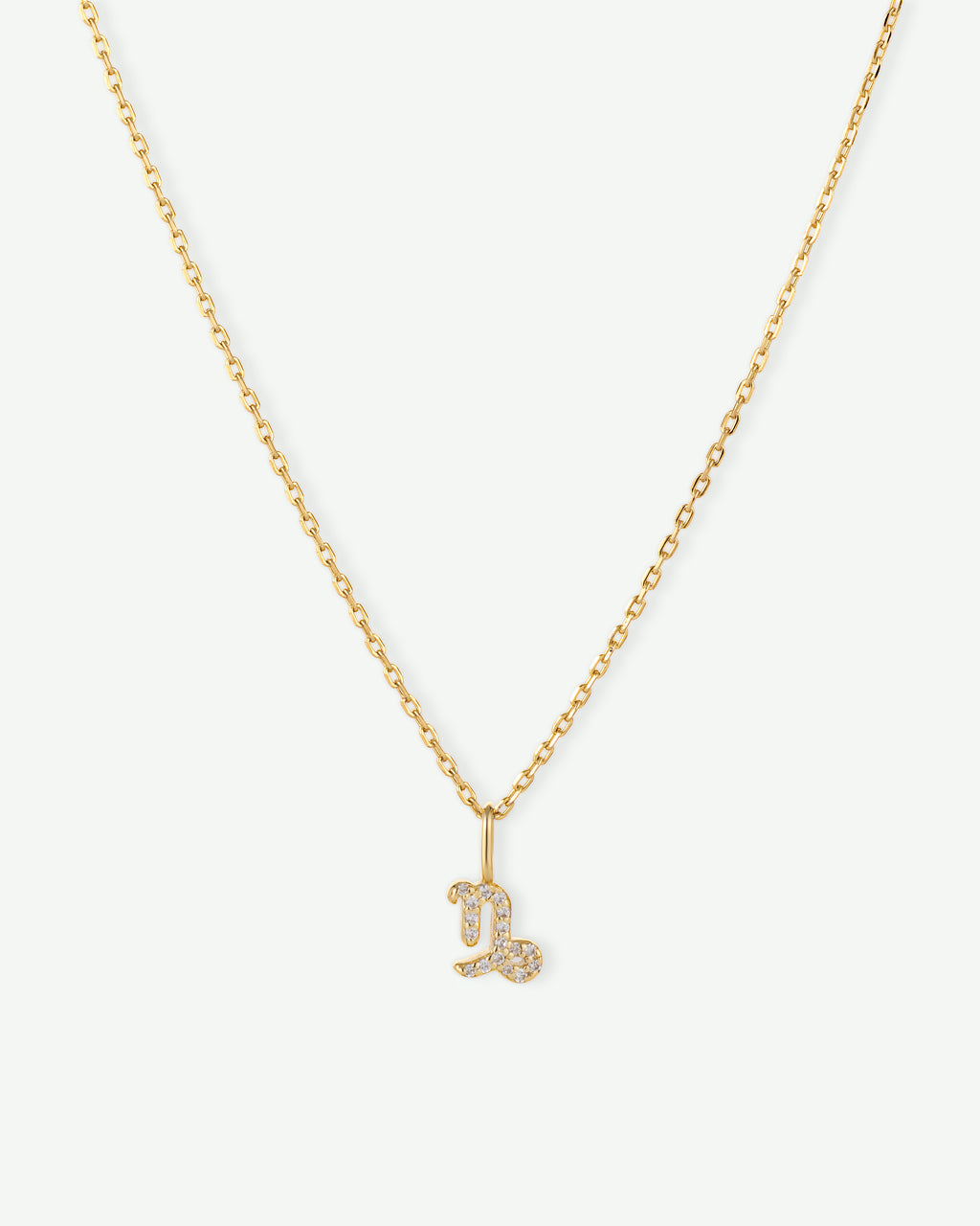 Capricorn Zodiac Charm