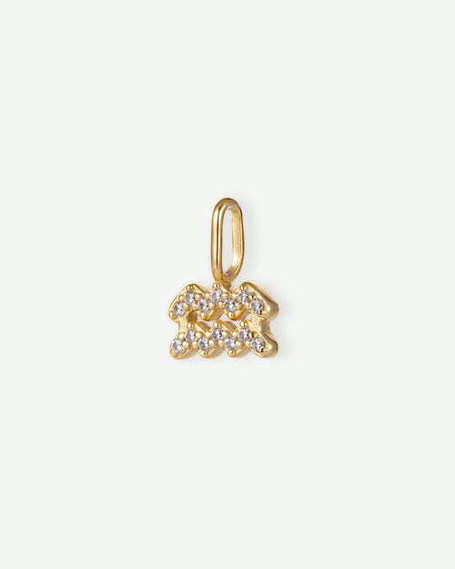 Aquarius Zodiac Charm